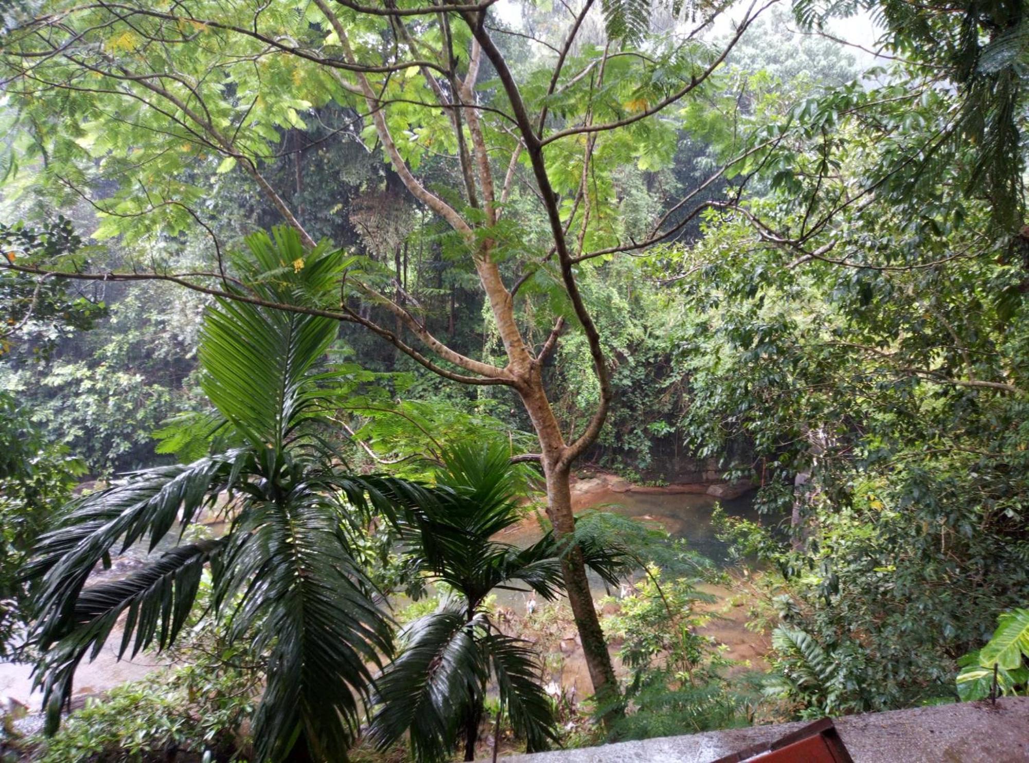 Old Bridge Riverside Hotel Kitulgala Luaran gambar