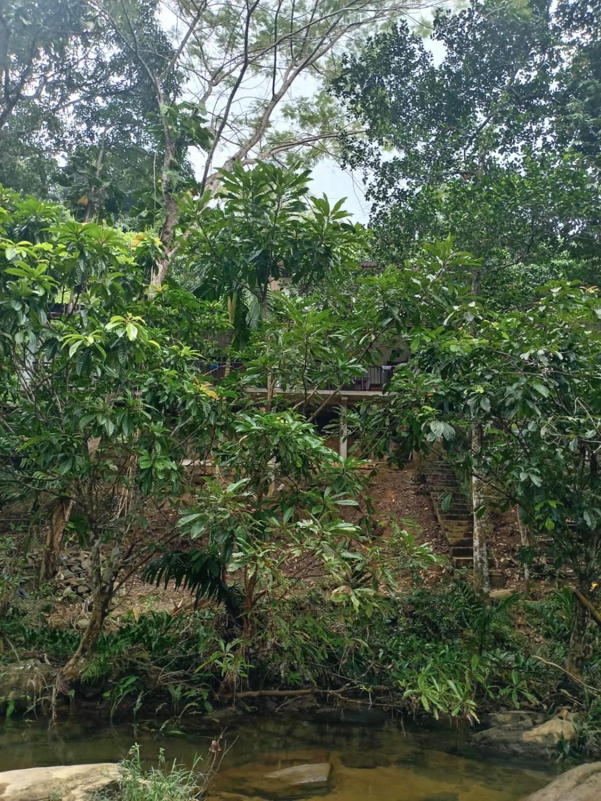 Old Bridge Riverside Hotel Kitulgala Luaran gambar